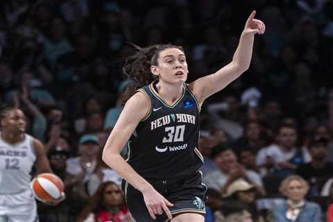 The top 2025 WNBA free agents as execs woo Unrivaled stars