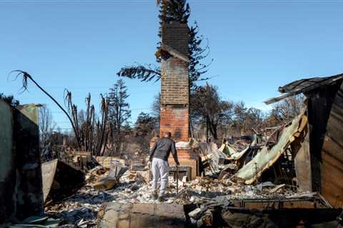 Raine’s Grammy Week Party to Move Ahead as Wildfire Relief Fundraiser