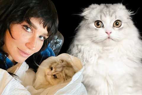 Kesha Announces Death of Beloved Cat Carl