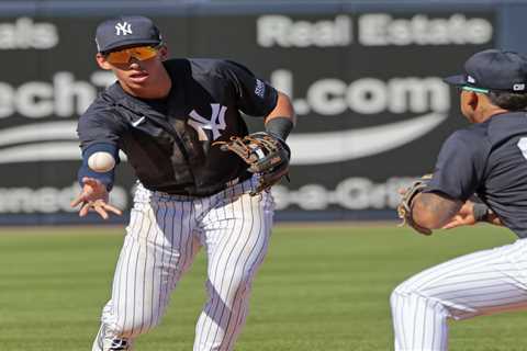 The top Yankees prospects invited to big league spring training