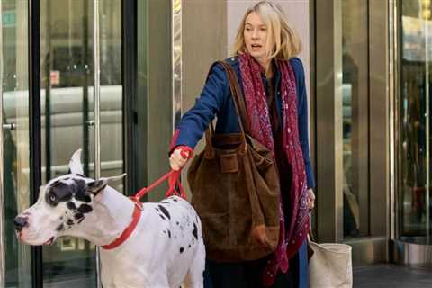 Bill Murray and Naomi Watts Star in New Drama Reunion