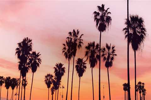 The Importance of Age Restrictions for Concerts in Los Angeles County, California