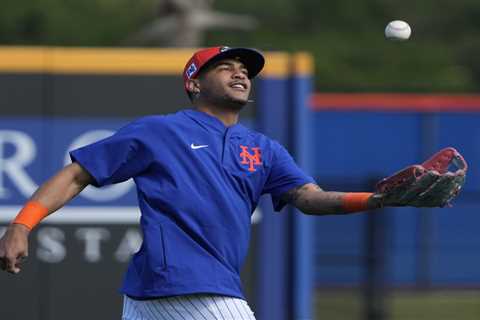 Jose Siri brings elite defense, ‘chaos’ to Mets while trying to improve anemic bat