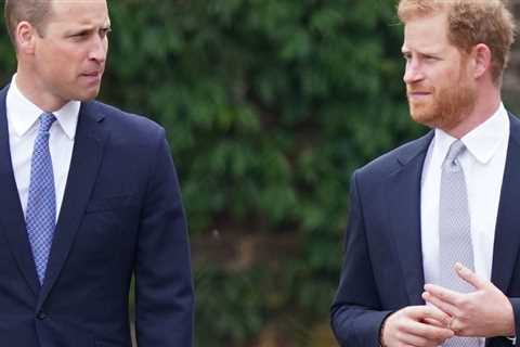 This Last Name Used by Prince William & Prince Harry Before Marriage