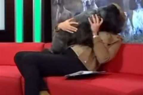 Crufts Host Clare Balding's On-Air Blunder: Excitable Dog Steals the Show
