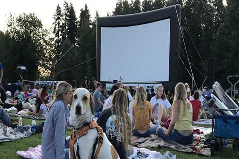 The Dos and Don'ts of Bringing Pets to Outdoor Music Events in King County, Washington