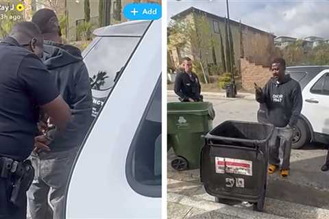 Ray J Detained by Police After Heated Exchange With Princess Love