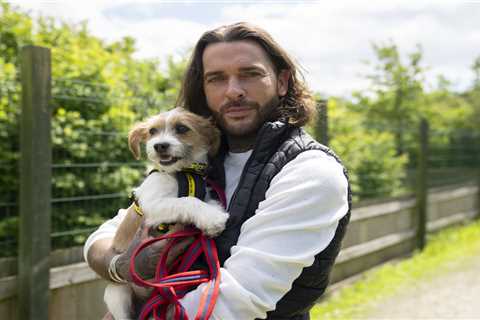 Future of Pete Wicks’ dog show revealed after Maura Higgins ‘cheat’ scandal