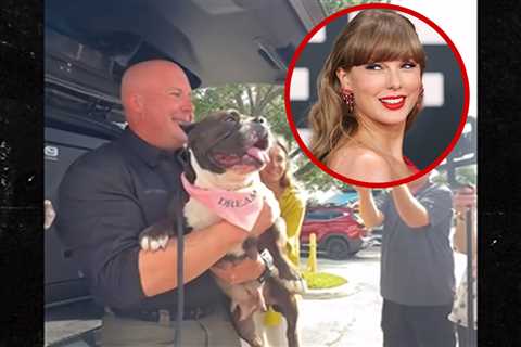Dog Named After Taylor Swift Adopted as Therapy Pooch Following Florida Highway Chase