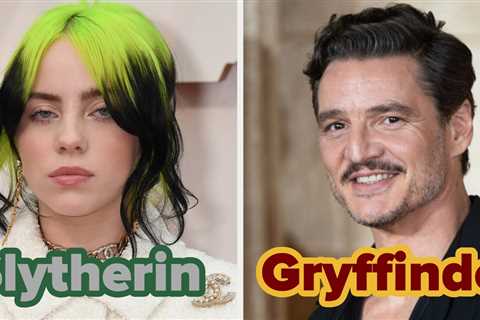 Which Hogwarts Houses Would You Put These Celebs In?