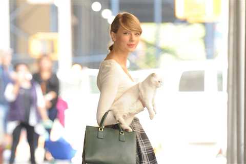 From Taylor Swift’s Cats to Ariana Grande’s Dogs & Pig, Which Musician’s Pets Are Your Favorite..