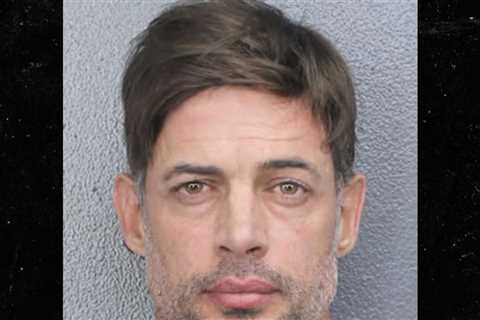 'Cuban Brad Pitt' Actor William Levy Arrested for Disorderly Intoxication in Florida