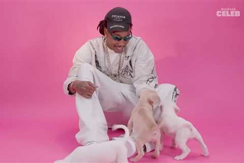 Wiz Khalifa Lists Dr. Dre as His Dream Collaborator While Being Interviewed With Puppies