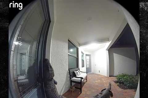 Two Large Alligators Show Up at Front Door of Florida Home, on Video