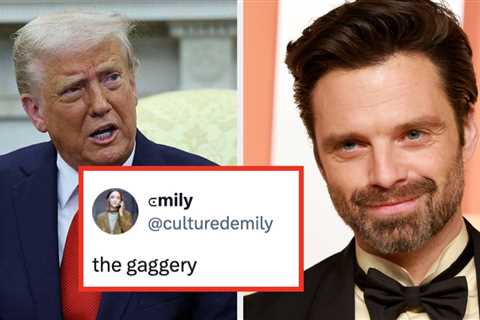 I'm Laughing At What Sebastian Stan Had To Say About Donald Trump Watching Him In The Apprentice..