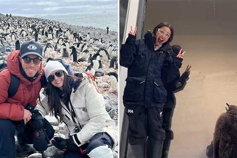 Waddle With These Stars 'N Penguins For World Penguin Day!