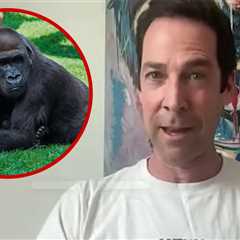 Top Primatologist Explains Why 100 Men vs 1 Gorilla Fight Wouldn't Happen