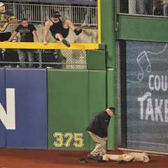 Fan who fell 21 feet onto field at Pirates game now awake in positive sign: ‘Feels nothing short of ..