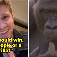 The Internet Is Praising Robert Irwin's Compassionate Response To 100 Men Vs. A Gorilla Debate