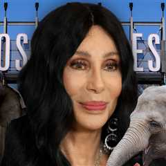 Cher Says L.A. Zoo Elephants Billy & Tina Have Done Their Time, Should Be Free