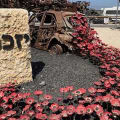 Nova Festival Memorial Site Honors Victims of Oct. 7 Hamas Attacks With Portraits of Vibrant Lives..
