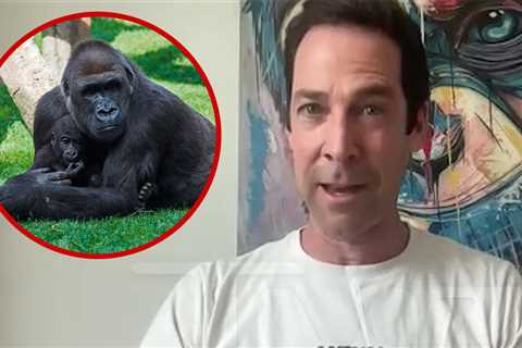 Top Primatologist Explains Why 100 Men vs 1 Gorilla Fight Wouldn't Happen