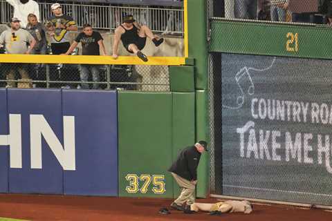 Fan who fell 21 feet onto field at Pirates game now awake in positive sign: ‘Feels nothing short of ..