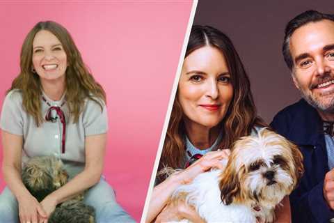 Tina Fey And Will Forte Gave Current SNL Members Advice While Puppies Peed And Pooped Everywhere
