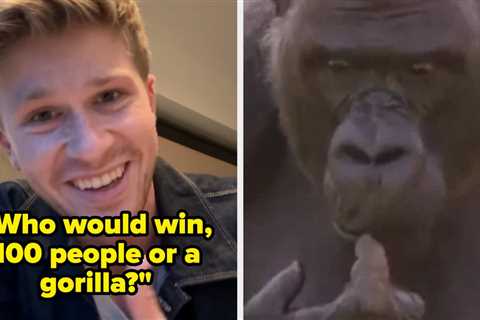 The Internet Is Praising Robert Irwin's Compassionate Response To 100 Men Vs. A Gorilla Debate