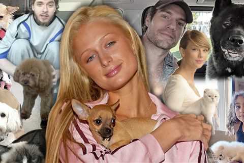 TMZ's Timeline of Wildest Hollywood Pet Moments