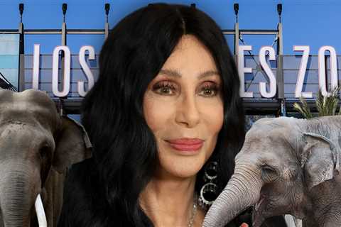 Cher Says L.A. Zoo Elephants Billy & Tina Have Done Their Time, Should Be Free