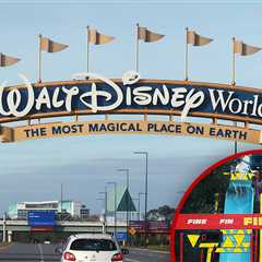 Disney World Hit Sued, Overweight Rider Claims Injuries From Waterslide