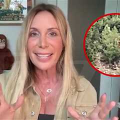 Nat Geo's Mireya Mayor Shuts Down New Viral Bigfoot Video