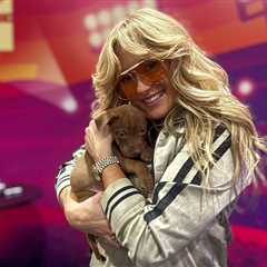 How Adoptable Pets at Concert Venues Are ‘Offering Love’ to Touring Artists & Their Crews — and..