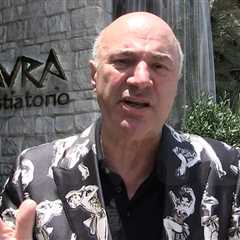 Kevin O'Leary Says L.A. Protests Destroying Small Businesses Are Un-American