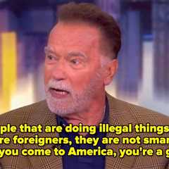 Arnold Schwarzenegger Just Said That Immigrants In America “Have To Behave Like A Guest” As He..