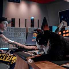 Deadmau5 on How His Cats Have Helped Him — Even If One Also Destroyed His Rare Art: ‘That’s the..
