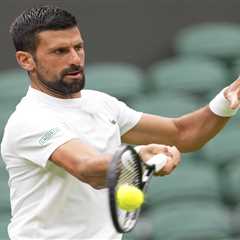 Australian tennis announcer won’t cover Wimbledon after ‘insulting’ Novak Djokovic comments