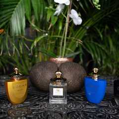 Claire’s Life: Experiencing the Seductive Natural Scent of the Seychelles with the Coco de Mer..