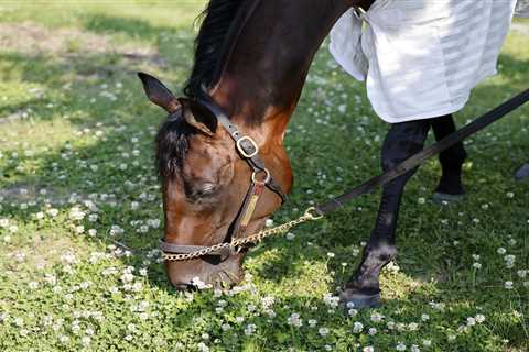 Baeza looking to right a Kentucky Derby wrong by besting favorites at Belmont Stakes