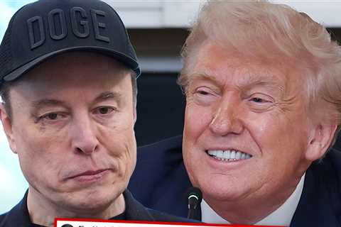 Elon Musk Regrets 'Some' Tweets About Donald Trump