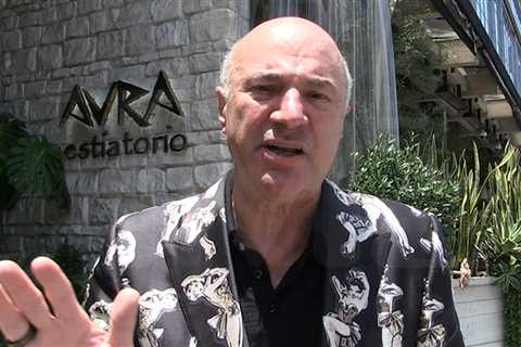 Kevin O'Leary Says L.A. Protests Destroying Small Businesses Are Un-American