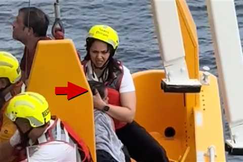 Dad Jumps From Disney Ship to Save Young Daughter, Ocean Rescue on Cam
