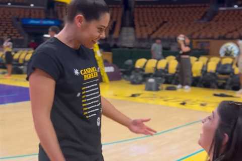 Kelsey Plum delivers blunt message to fan wearing Caitlin Clark top at Sparks game
