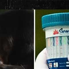 'Animals on Drugs' Trailer Shows Gators on Meth, Bears Drinking Beers