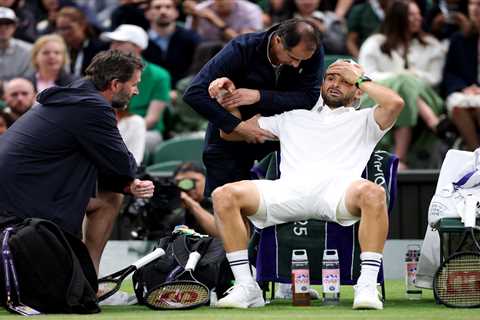 Grigor Dimitrov’s upset bid against Jannik Sinner halted by injury in Wimbledon crusher