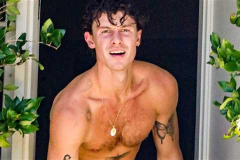 Shawn Mendes Unveils New Eagle Tattoo on Chest