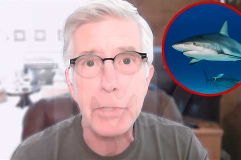 Tom Bergeron Talks New TV Show 'Dancing With Sharks'