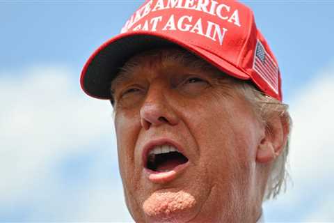 The Simpsons Creator’s Hilarious Three-Word Solution To “Liberate” MAGA Parents