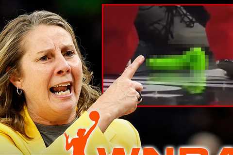 WNBA Coach Cheryl Reeve Livid Over Sex Toy Throwing, 'It's Not Funny'
